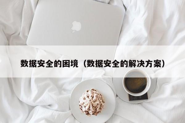 买球-数据安全的困境（数据安全的解决方案）